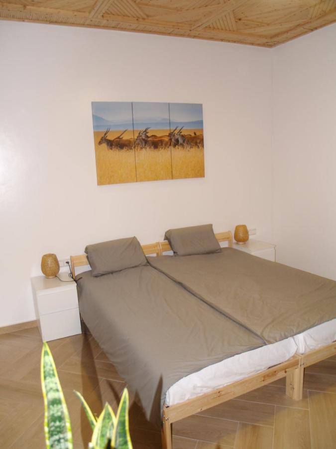 Dar Makai Surf Hotel Tamraght المظهر الخارجي الصورة